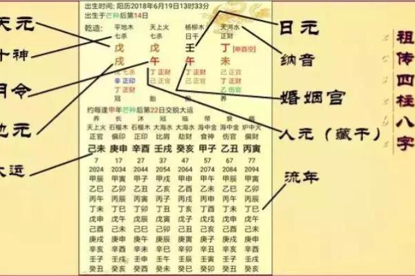 己巳年午时出生的命运解析：深入探讨命理与人生决策