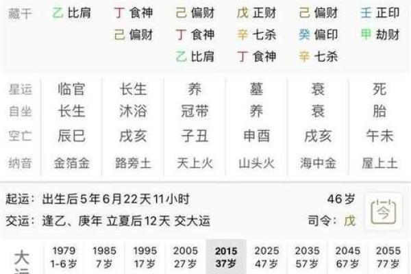 戊寅己卯年命运解析：探寻命理与人生的深层联系