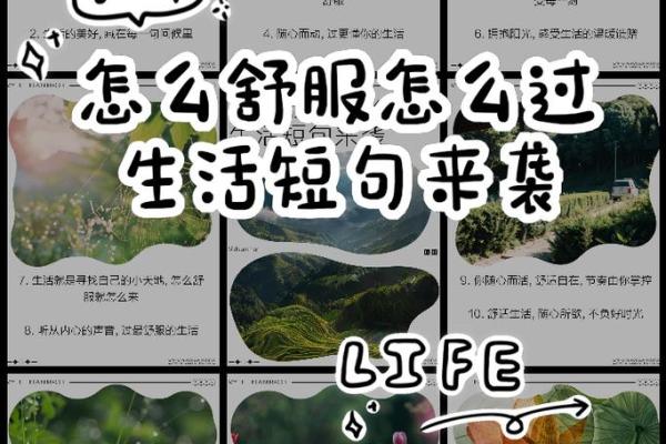 懒惰命：如何舒适地拥抱生活的慢节奏与惬意