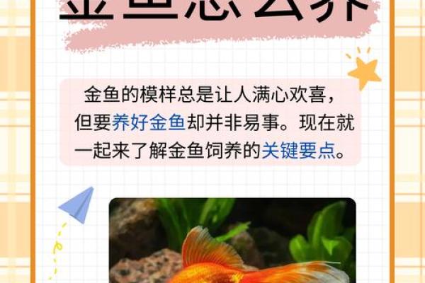 算命金鱼命：揭开命理与风水的奥秘，探寻人生的方向与智慧
