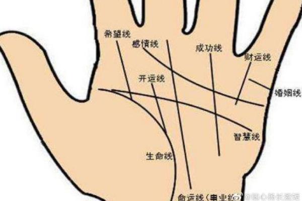 女生手粗糙的命运解析：从双手看人生运势与性格