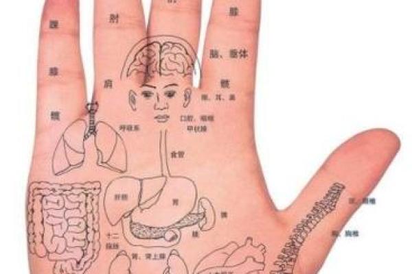 女生手粗糙的命运解析：从双手看人生运势与性格