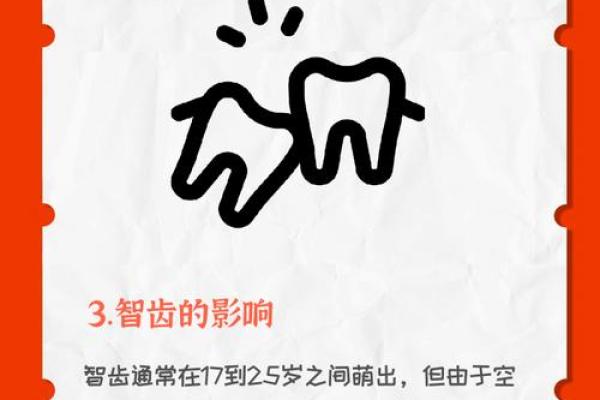 20颗牙齿的命运：从口腔健康看人生哲学