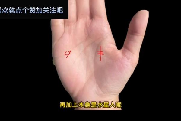 手相揭秘：破解命格女性的财富与情感之谜