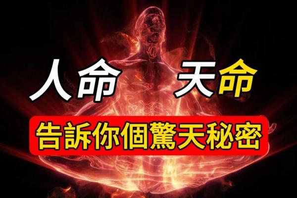 天字命理：探秘命运的宇宙密码与哲学智慧