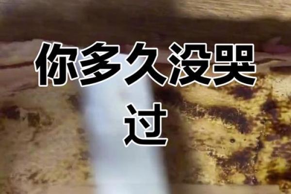为什么我的命如此苦：生活中的无奈与挣扎的真实写照