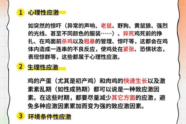 鸡为何不能拼命搏斗？探寻背后的深层原因与意义