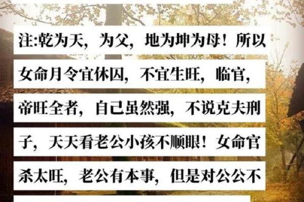 合婚乾坤命：探索人生命运的奥秘与智慧
