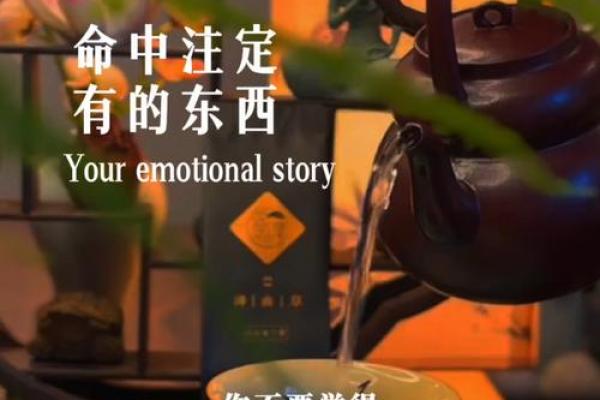 周莹：命里有时终须有，命里无时莫强求的智慧人生