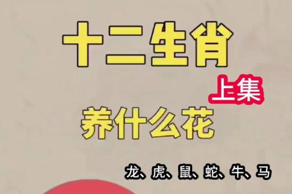生肖与红花：如何选择适合你的幸运色彩