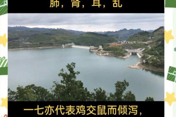 童子命的人生之路：机遇与挑战的交织