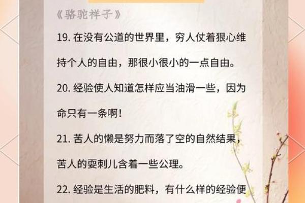 狠心的人是怎样命的人？探究心理与命运的奥秘