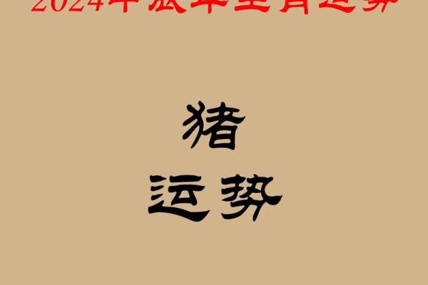 17岁属猪的性格与命运：探索属于你的未来之路