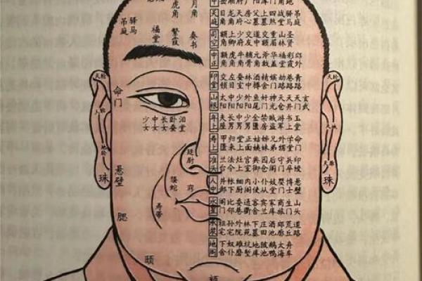 揭示富贵命的骨相特征：如何通过相骨察知财运与命格