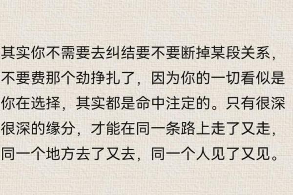 命中注定？探秘命理爱好者对文字的深刻情感