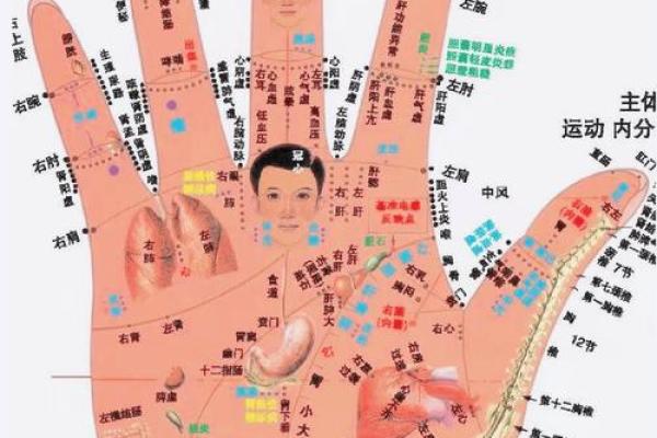 命理风水的派别揭秘：从传统到现代的智慧传承与发展