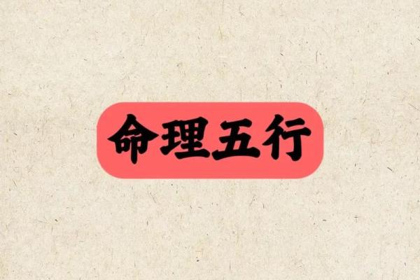79岁属什么生肖和命理解读：揭开鲜为人知的秘密与智慧