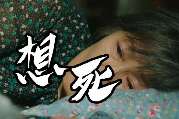 《从绝望中重生，我为爱拼尽全力的心声》