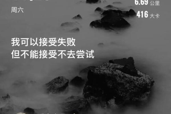 命运的交响曲：解读人生中的“命饭”成语及其背后的智慧