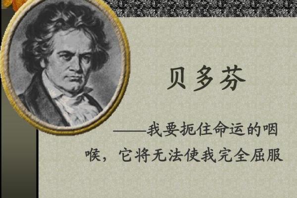 命运的交响曲：解读人生中的“命饭”成语及其背后的智慧