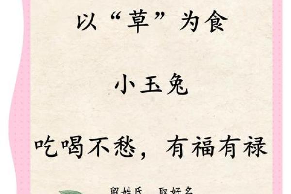 属兔47岁女性的命运解析与人生智慧