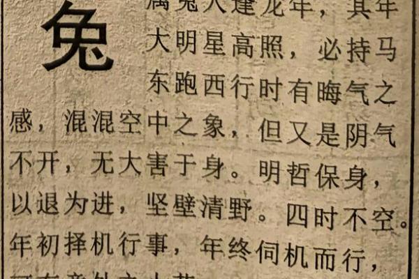 1975年属兔的命理解析：细腻温和的生命旅程
