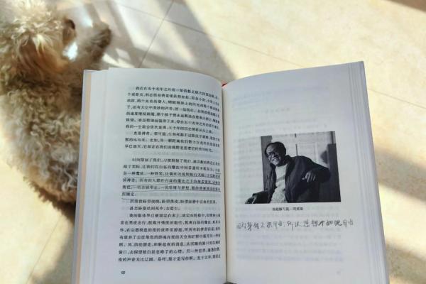 1980年出生的男性：命运与挑战共存的一生