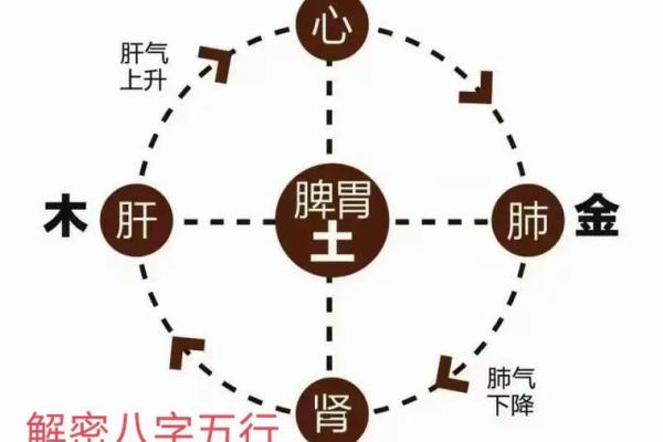 1981年五行命解析：透视命运与性格的奥秘