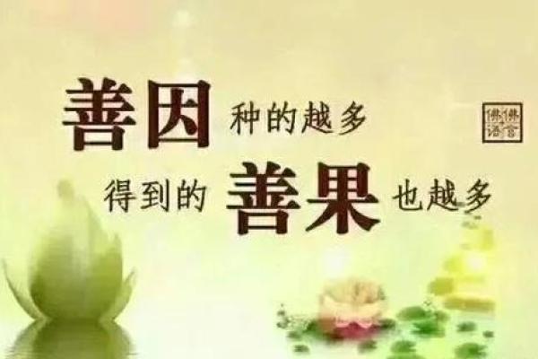 探索命理的奥秘：人因命而生，命因何而来？