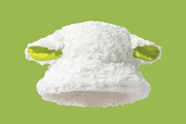 救命的帽子：一顶温暖心灵的神奇帽子