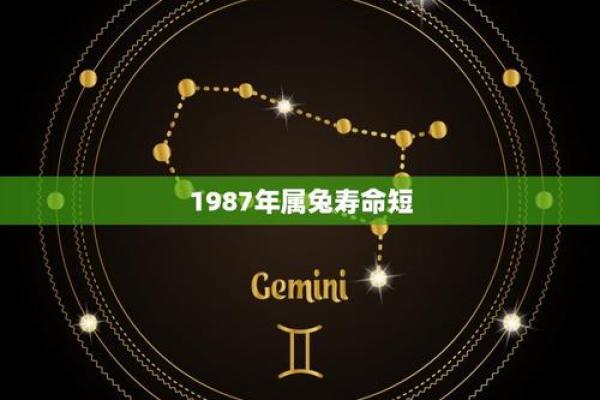 1987年属兔人：性格与命运解析，一生中的幸运与挑战！