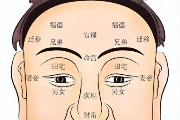 看鼻子决定命运的秘密，揭示面相与人生的深刻联系！