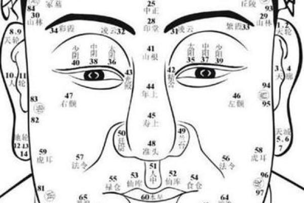 看鼻子决定命运的秘密，揭示面相与人生的深刻联系！