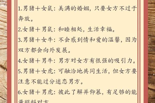 从生肖解析女猪的命运与人生之路