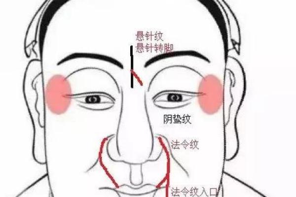 头大脖子长的命运：探索古老面相学的智慧与启示