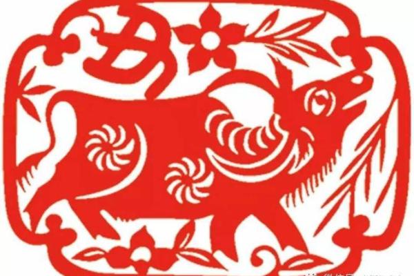 2021牛年命运解析：牛年出生的朋友们，命运如何影响你们的生活？