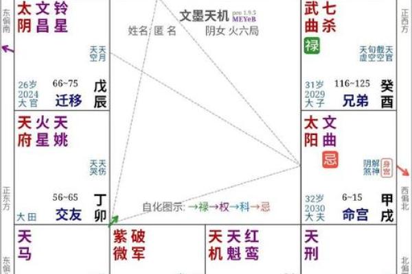 探秘紫薇命格：解读命运与人生的玄学奥义