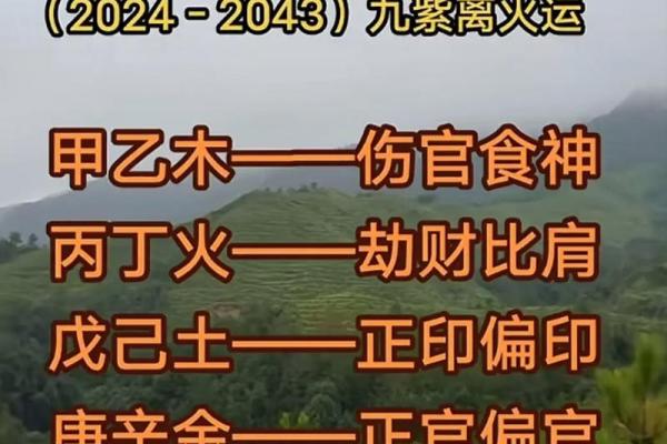 女命偏官偏财偏印同柱的命理解析与人生启示