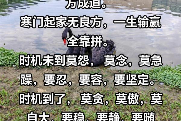 细水长流，润物无声：生活的智慧与坚持