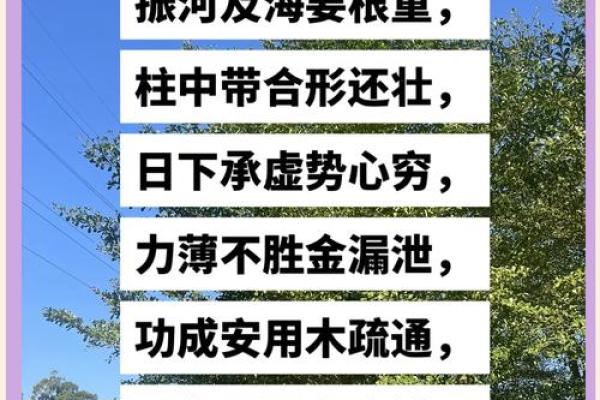深入探索98城墙土命的特征与补救之道