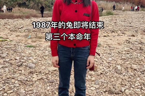 1987年兔子的命与运势：命缺什么，如何转运？