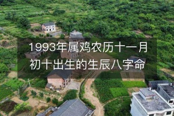 93年鸡中午出生的命运解析：探秘命理与人生