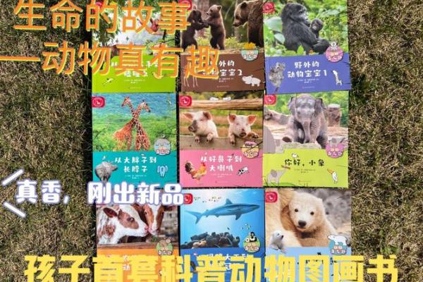 过命交情，情深似海的动物友谊故事