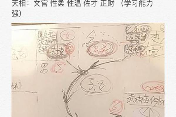 紫微斗数的夹命与坐命：命理中的奥秘与启示