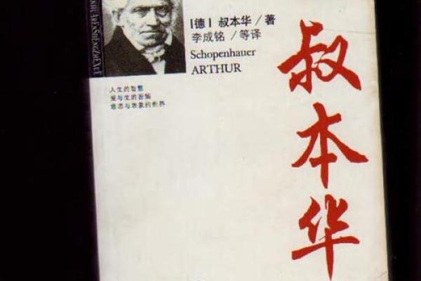 塌鼻梁女人命运：从美学反思到人生哲学的深刻探讨