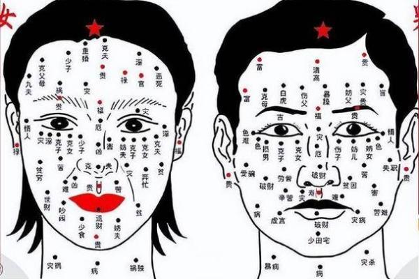 分析贪财面相，揭示好命男人的财运秘密！