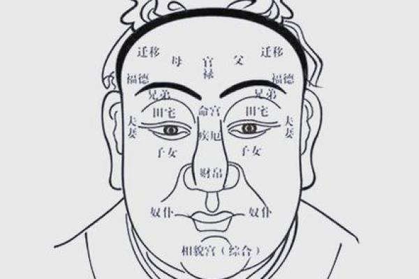 分析贪财面相，揭示好命男人的财运秘密！