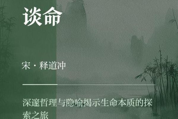 男命伤官运：解读命运的独特切片与未来的光辉希望