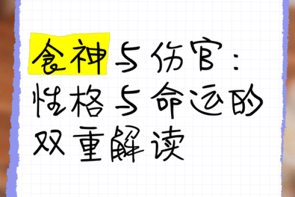 男命伤官运：解读命运的独特切片与未来的光辉希望