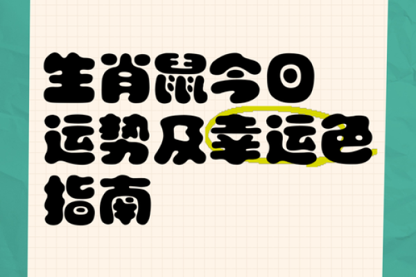 水命鼠适合的颜色：助力运势的秘密探索！